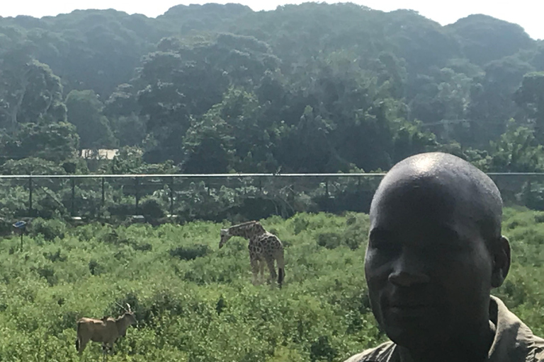 ENTEBBE HEART OF WALKING ADVENTURE