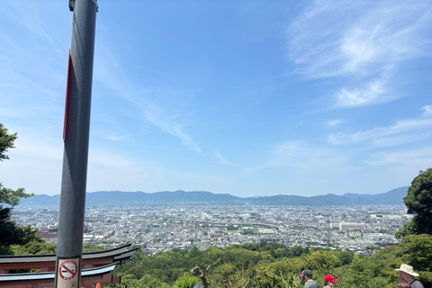 Desde Osaka: Kioto y Nara Tour privado de un día