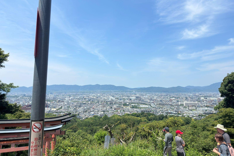 Desde Osaka: Kioto y Nara Tour privado de un día