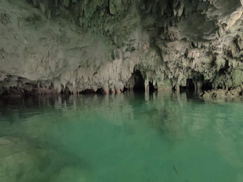 Tulum Cenotes: Yum Ha, Luna, and Sombra Cenotes Tour, lunch | GetYourGuide