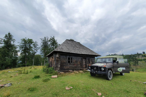 From Bucharest: Brădetu 4x4 Tour with Lunch, Hotel Pick-Up
