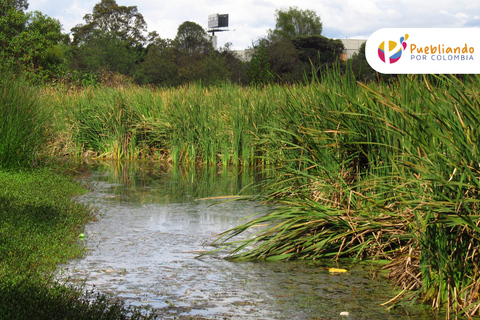 Bogotá Wetlands Sightseeing Tour Bogotá Wetlands City Sightseeing Tour