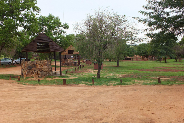 Johannesburg: Safari in het neushoorn- en leeuwenreservaat