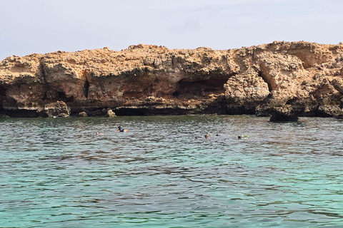 Excursions de plongée avec masque et tuba dans les îles Daymaniyat