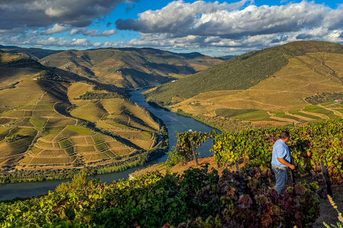 Douro Valley: Wine & Olive Oil Tour with Boat & Lunch Douro Valley: 2 Wineries, Boat Cruise & Traditional Lunch