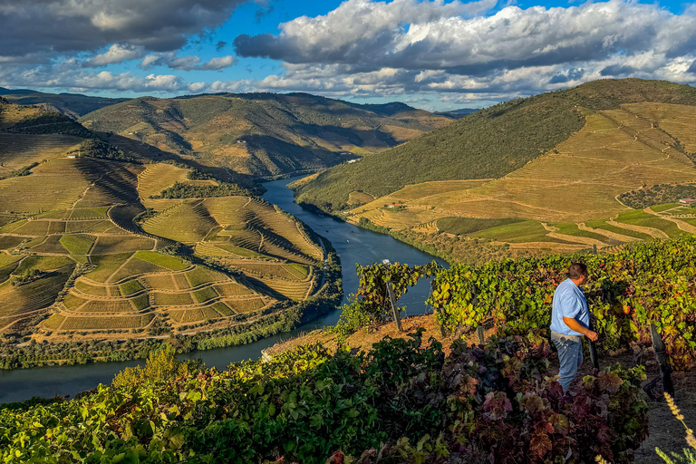Douro Valley: Wine & Olive Oil Tour with Boat & Lunch Douro Valley: 2 Wineries, Boat Cruise & Traditional Lunch