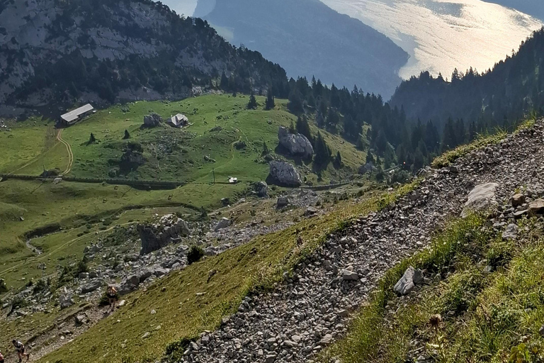Pilatus: Summit Hike supported by Train and Gondola