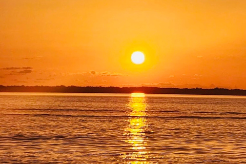 Tarpon Springs: Evening Dolphin Cruise Tarpon Springs: Sunset Dolphin Cruise with Refreshments