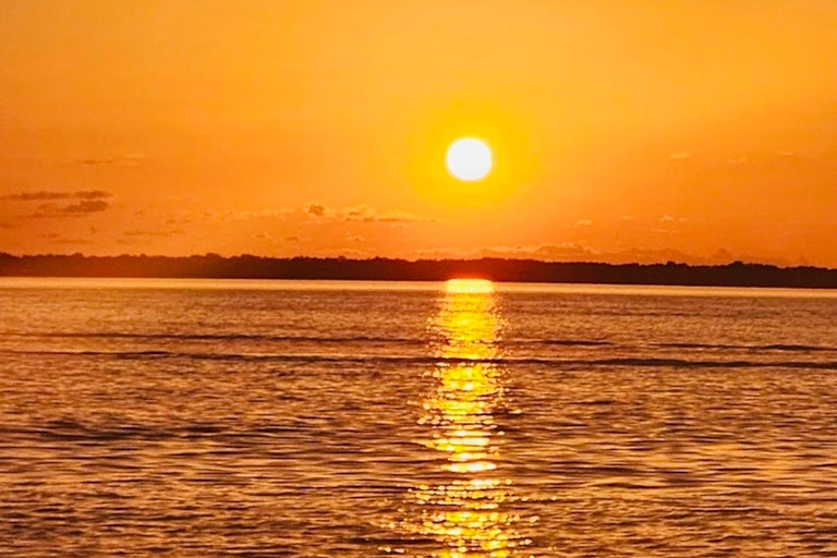 Tarpon Springs: Evening Dolphin Cruise Tarpon Springs: Sunset Dolphin Cruise with Refreshments