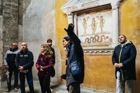 Pompéi : visite guidée l'après-midiVisite en anglais