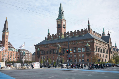 Rondvaart door de grachten in Kopenhagen en stadswandeling Nyhavn3 uur: rondleiding door de oude binnenstad en boottocht