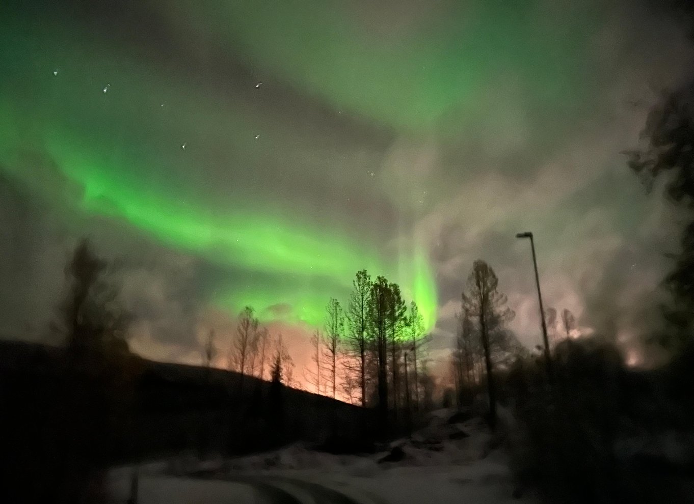 Harstad/Narvik/Tjeldsund: Nordlys-sightseeing i bil