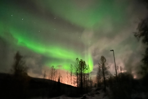 Harstad/Narvik/Tjeldsund: Norrskenssightseeing med bil