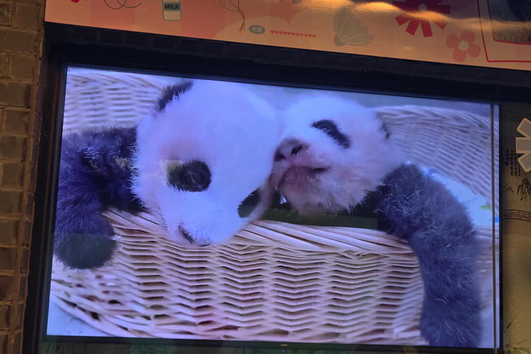 Shanghai Hidden Water Town Temple Snack&Wildlife Park Safari Water town+Day Safari from October 5 2026 (Zoo early closed)