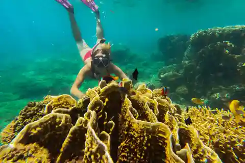 Private Snorkeling Gili Gede, GIli Asahan, Gili Goleng Tour