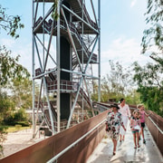 Roma: The Big Rig Oil Patch and Tower & Tree Walk