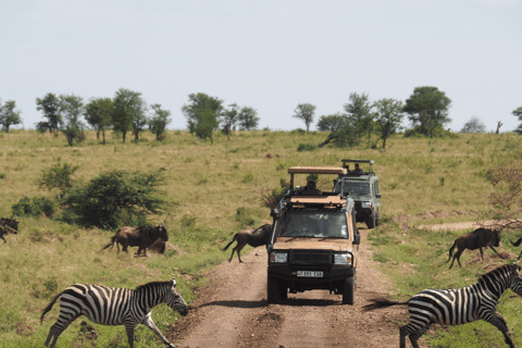 Tanzania: 13-Day Safari & Zanzibar Beach Holiday