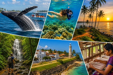 Sri Lanka 3-Day Rainforest Hike, Whale Watching & Fort Tour