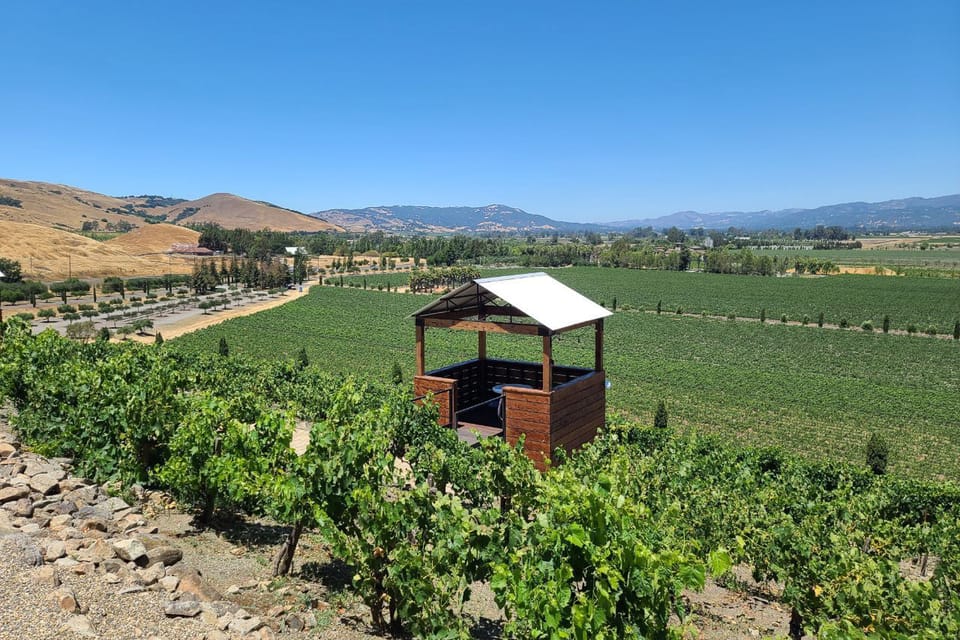 San Francisco: Half-Day Wine Tour with 2 Tastings Included image 2