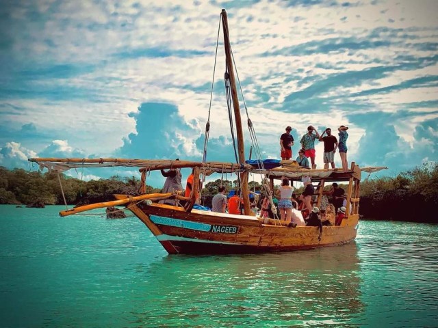 Visit Safari blue tour in Zanzibar