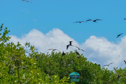 Cancún o Riviera Maya: excursión a islas Contoy y MujeresTour desde Playa del Carmen y Puerto Morelos