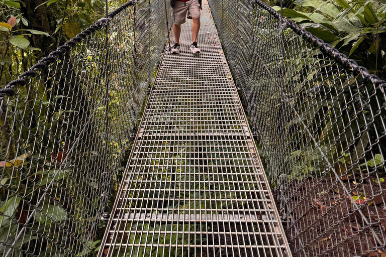 La Fortuna: Tour dei ponti sospesi e della zip line con pranzo