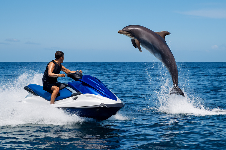 Muscat : Dolphin Watching Trip & Jet Ski Ride Adventure