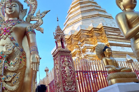 Chiang Mai: Tour di Wat Pha Lat e Wat Phra That Doi SuthepTour di gruppo con servizio di prelievo in hotel