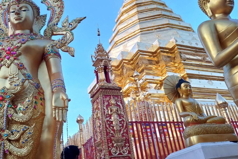 Chiang Mai: Tour di Wat Pha Lat e Wat Phra That Doi SuthepTour di gruppo con servizio di prelievo in hotel