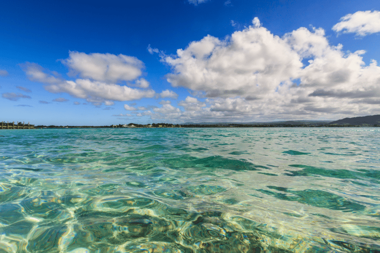 Pięć wysp: wycieczka po wyspach, delfiny, nurkowanie, grillBilet na pięć wysp (bez odbioru z hotelu)