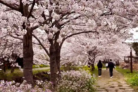 West Jeju Cherry Blossom Strawberry Picking Small Group Tour
