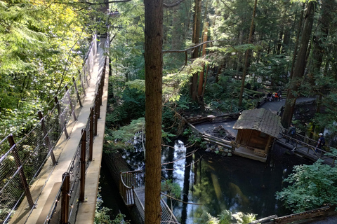 4Tour:Capilano Suspension Br/CAR/Small GROUP+Lago+Dam+Hacher