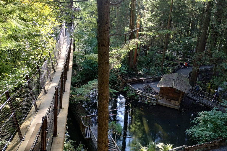 4Tour:Capilano Suspension Br/CAR/Small GROUP+Lago+Dam+Hacher