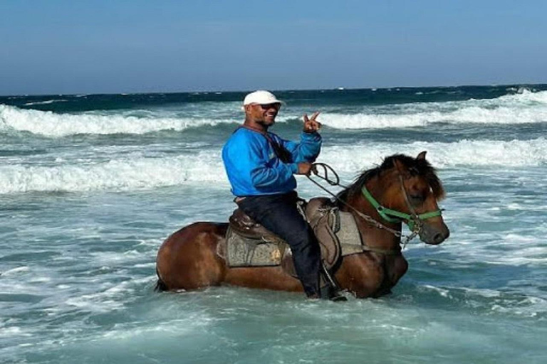 Aruba: Horseback Morning Tour and Beach Ride