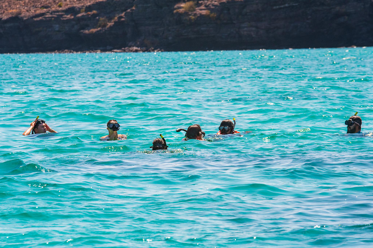 La Paz: Espiritu Santo Island Tour