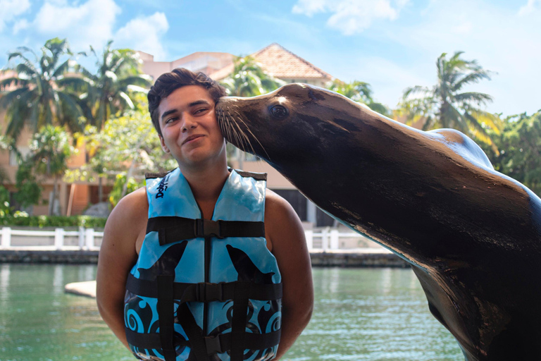 Puerto Aventuras: Ticket de entrada al Descubrimiento de los Leones MarinosPuerto Aventuras: boleto de descubrimiento de leones marinos