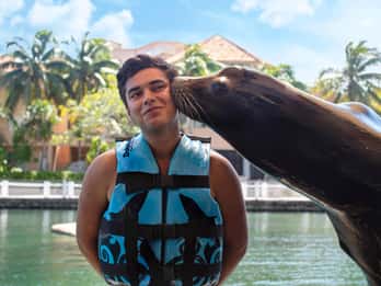 Puerto Aventuras : Billet pour la découverte des lions de mer