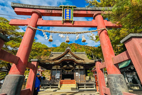 Shiga: Dagstur till Miho Museum, Biwasjön och Waterbird ShrineKyoto Station upphämtning 9:50