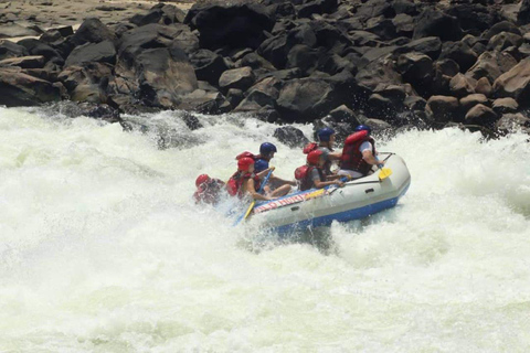 Victoriafallen: Rafting i Zambeziflodens forsande vatten