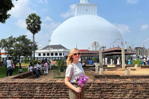 Negombo to Anuradhapura Transfer with Wilpattu Safari