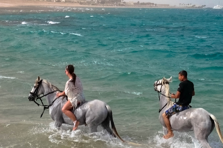 El Gouna : Randonnée à cheval dans le désert et la mer avec baignade en option1 heure de quad + 1 heure d&#039;équitation — Combo double aventure