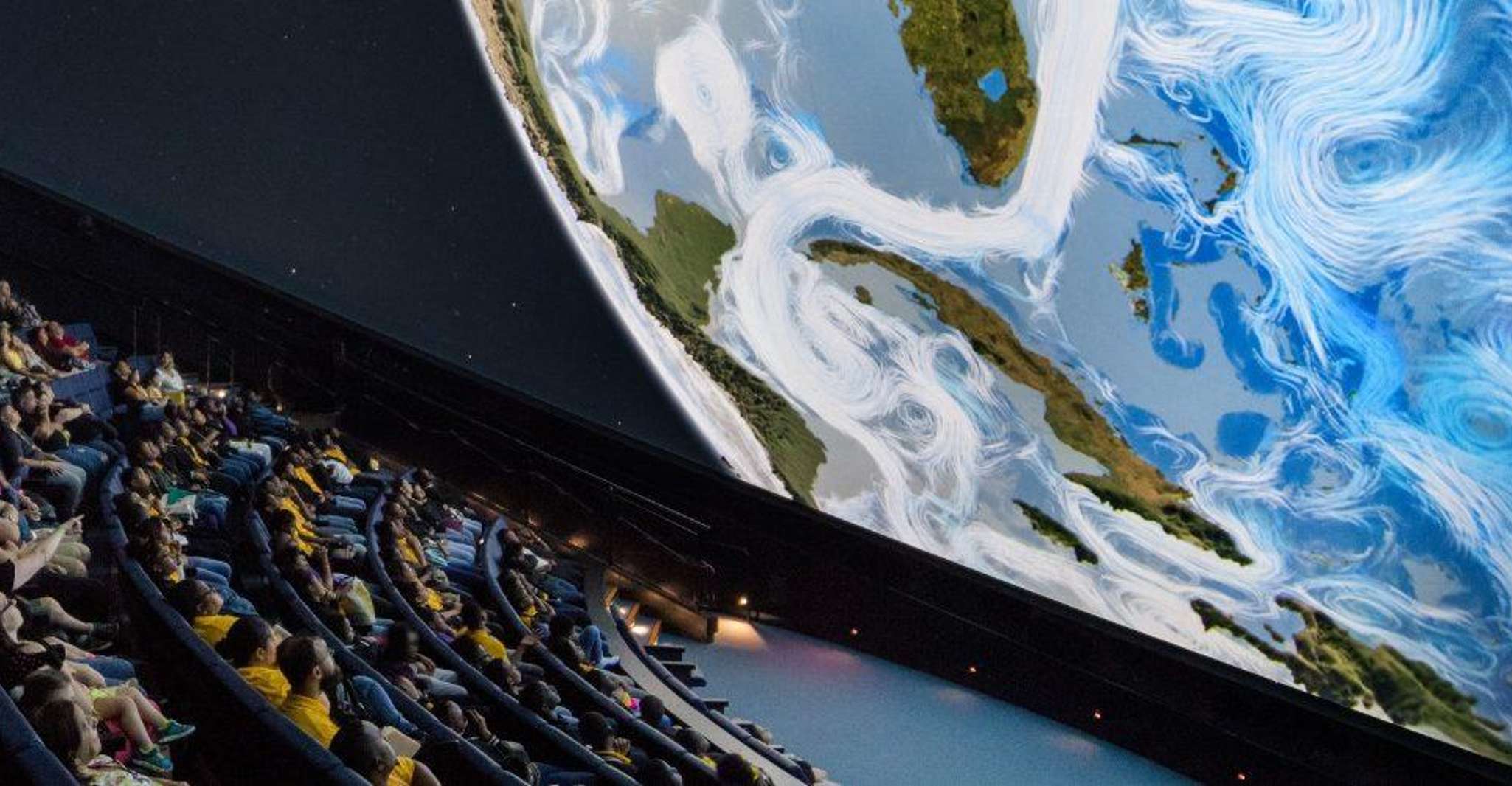 Miami: Frost Museum of Science and Planetarium Entry Ticket photo 11