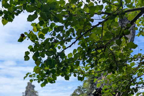 Krabi: Small Group Boat Tour to James Bond & Hong Islands