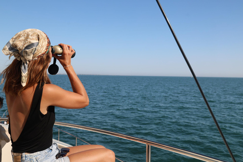 Le Grau-du-Roi: Sailing along the Camargue coast Le Grau-du-Roi: Sailing along the Camargue coasts