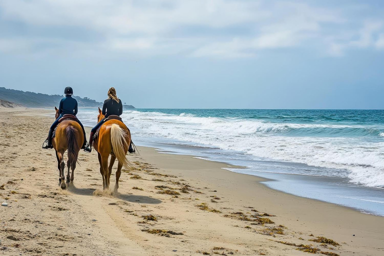 San Diego: 3-Hour Guided Beach Horseback Ride