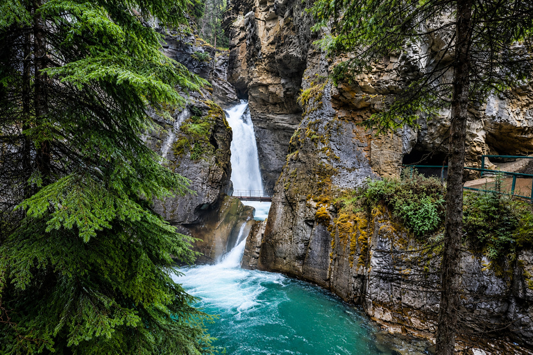Banff/Canmore: Moraine Lake, Lake Louise & Johnston Canyon