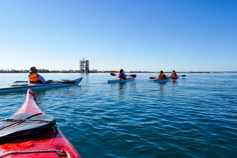 Sea Kayak Tour - Mangrove Safari