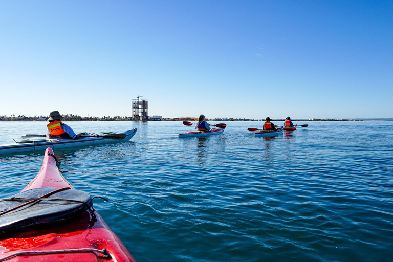 Sea Kayak Tour - Mangrove Safari