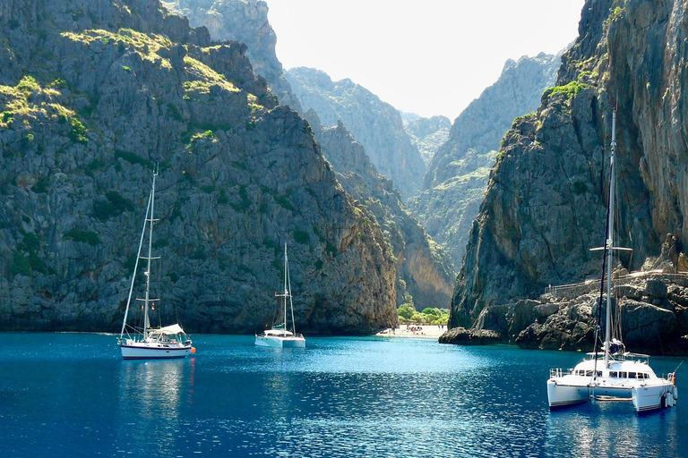 All of Mallorca: Exclusive Experience in an Intimate Group (12 people max.)