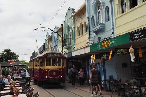 Christchurch: Private Highlights Tour with local guide